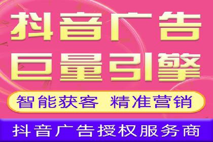搜索引擎优化（SEO）与竞价广告（SEM）的对比案例